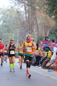 BIB: 15136
                            <button type="button" onclick="openModal(10410684)" class="btn btn-primary btn-sm float-right btn-popup" data-toggle="modal" data-target=".modal-high-quality">
                        <i class="fas fa-shopping-cart"></i> Add to Cart
                    </button>
                                            <button type="button" onclick="isThisMe(10410684, true)" class="btn btn-success btn-sm float-right btn-popup btn-isme hidden" data-toggle="tooltip" data-placement="bottom" title="นี่คือรูปของคุณใช่ไหม คลิกที่นี่เพื่อเอาเข้าอัลบั้ม">
                        <i class="fas fa-plus"></i> Add to album
                    </button>
                    <button type="button" onclick="isThisMe(10410684, false)" class="btn btn-warning btn-sm float-right btn-popup btn-isnotme hidden">
                        <i class="fas fa-ban"></i> Remove from album
                    </button>